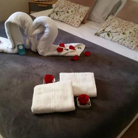 Guest house Al 7 Rooms